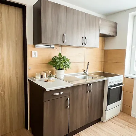 Nadstandardny Apartman S Terasou Tiszolc Kültér fotó
