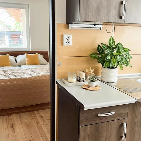 Nadstandardny Apartman S Terasou Tiszolc Kültér fotó