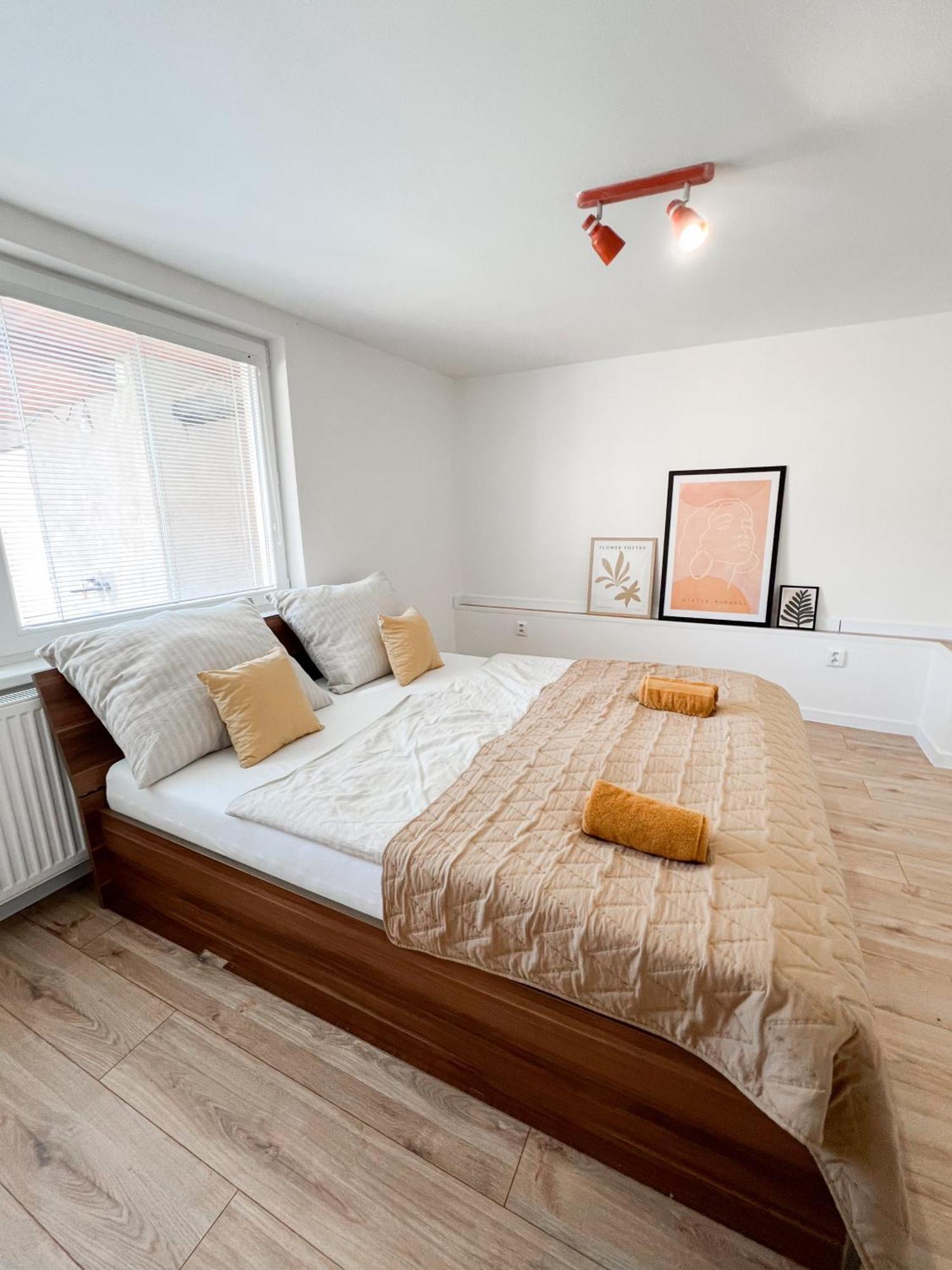 Nadstandardny S Terasou Apartment Tisovec